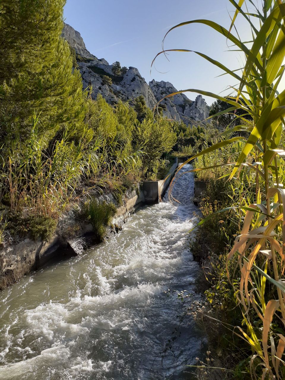 Remise en eau du canal et des réseaux de distribution 2026
